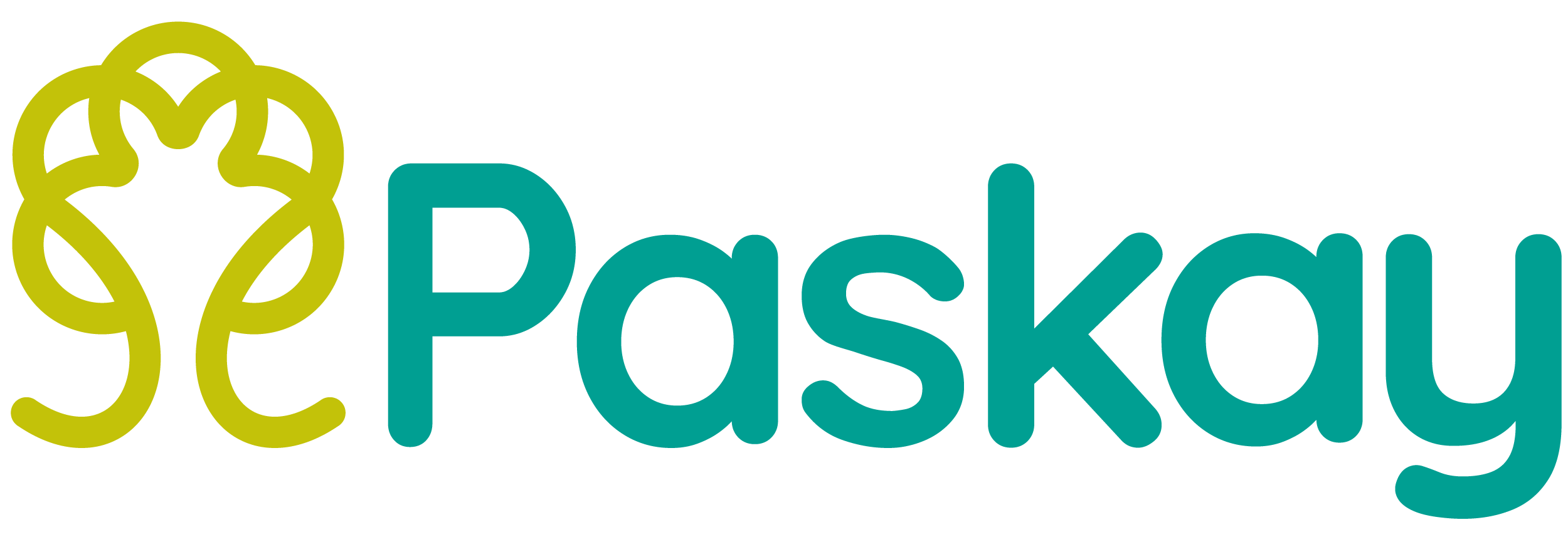 PASKAY_IMAGOTIPO_HORIZONTAL_COLOR