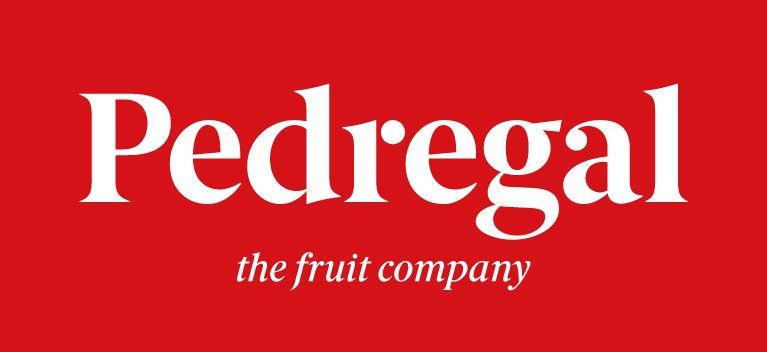 PEDREGAL